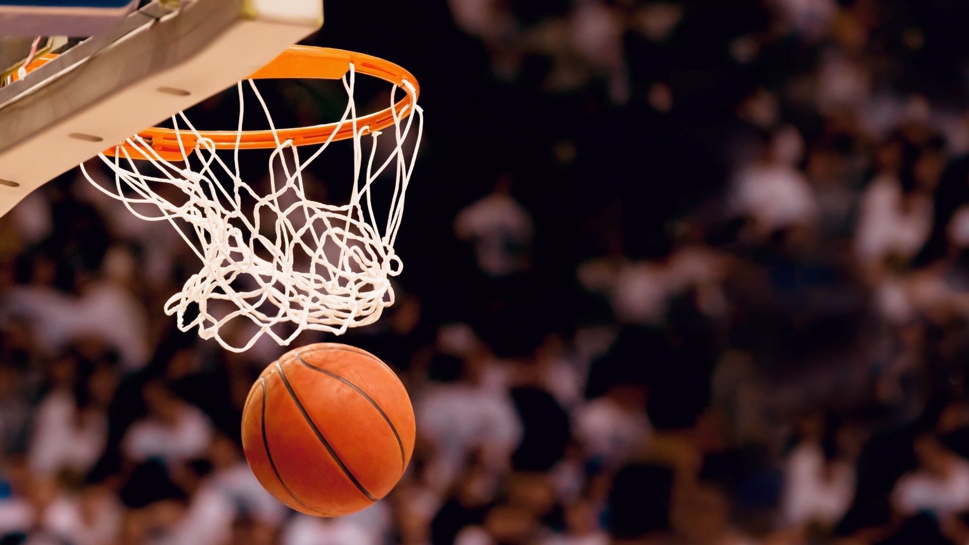 黑豹再战不慎输给雄鹿，沃克表现耀眼，nba 黑豹