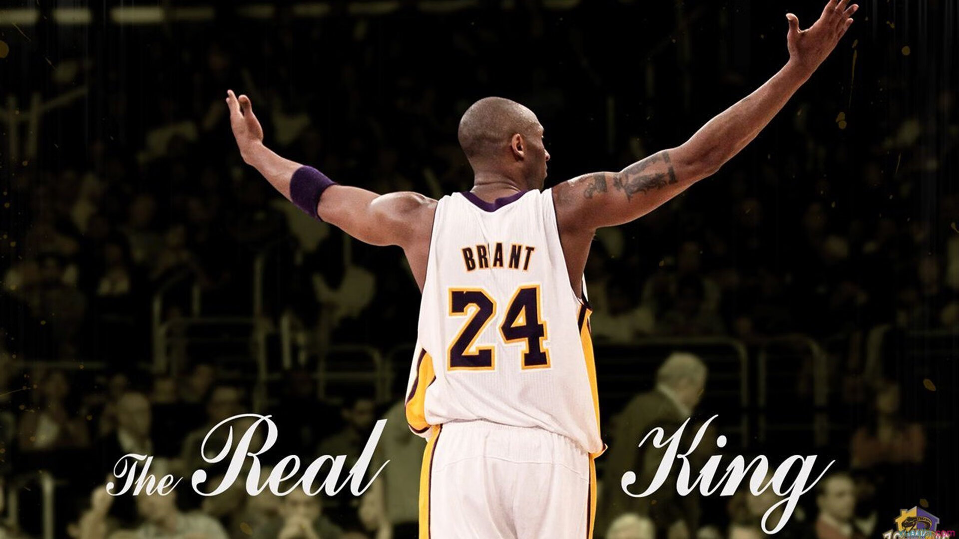 爱体育娱乐入口-意大利骑手拉里萨·保利斯在2024年巴黎奥运会盛装舞步比赛中获得第七名，展现出色表现。